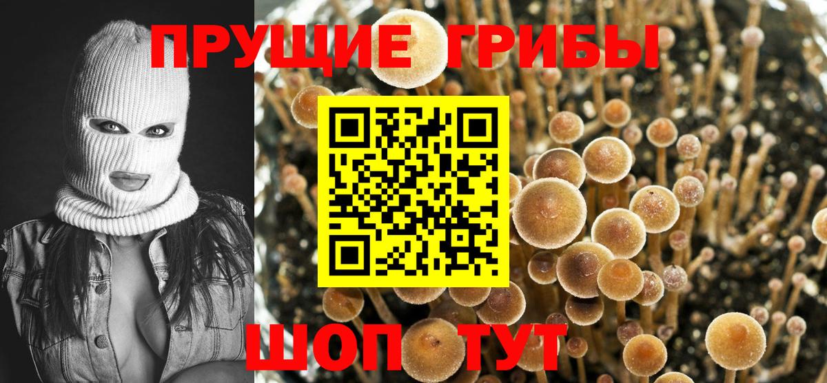Псилоцибиновые грибы Magic Shrooms Майский